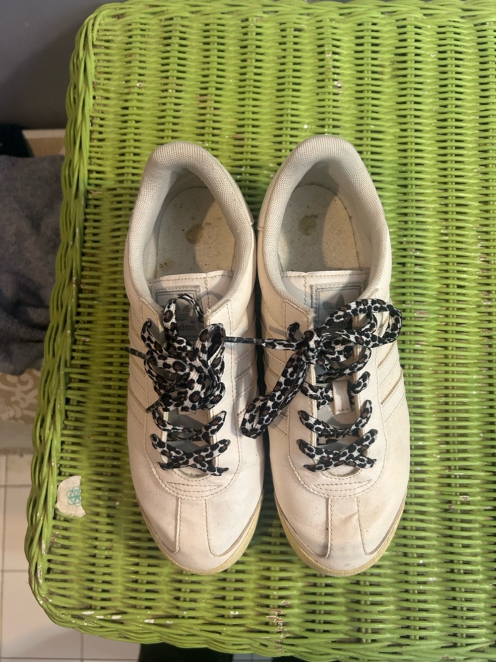 Adidas sambas with leopard laces
